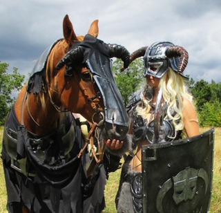 Illustration for article titled Awesome Skyrim Cosplay Even Includes Horse Armor
